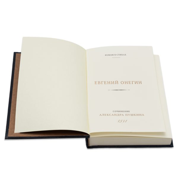 Евгений Онегин